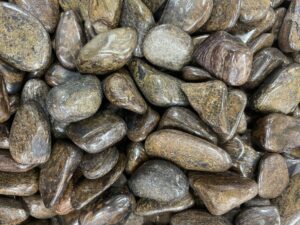 Bronzite